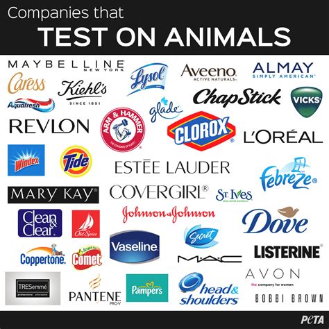 marcas que testan en animales 2023